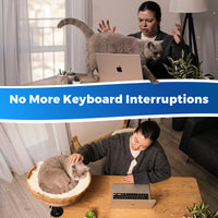 Rattan Cat Desk Bed