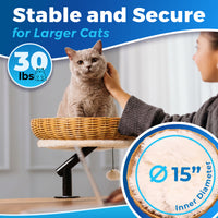 Rattan Cat Desk Bed