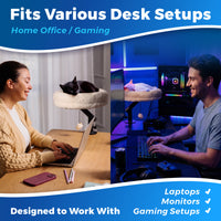White Cat Desk Bed