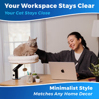 White Cat Desk Bed