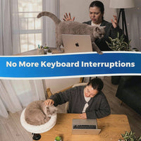 White Cat Desk Bed