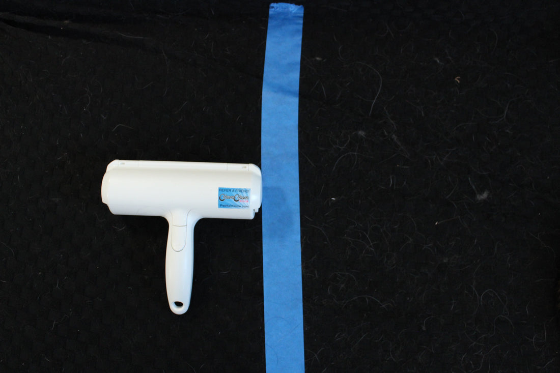 ChomChom pet hair remover roller on a hair-covered black fabric surface, with blue painter's tape marking the test zone