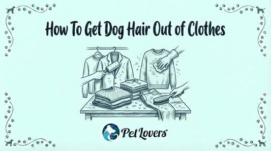 How to Remove Dog Hair From Clothes (Laundry Guide)