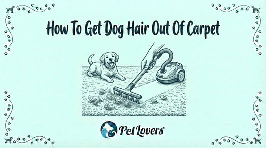 How to Get Dog Hair Out of Carpet