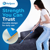 EzLint Mega Carpet Rake