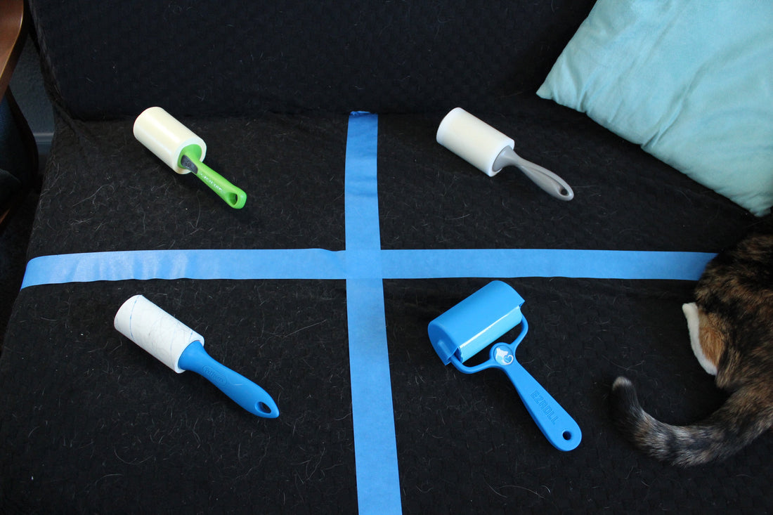 Four pet hair lint rollers arranged in a quadrant grid on a black surface divided by blue tape: Evercare, Scotch-Brite, PetLovers Extra Sticky, and PetLovers EzRoll reusable