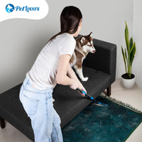 EzLint Mega Carpet Rake