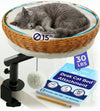 Rattan Cat Desk Bed