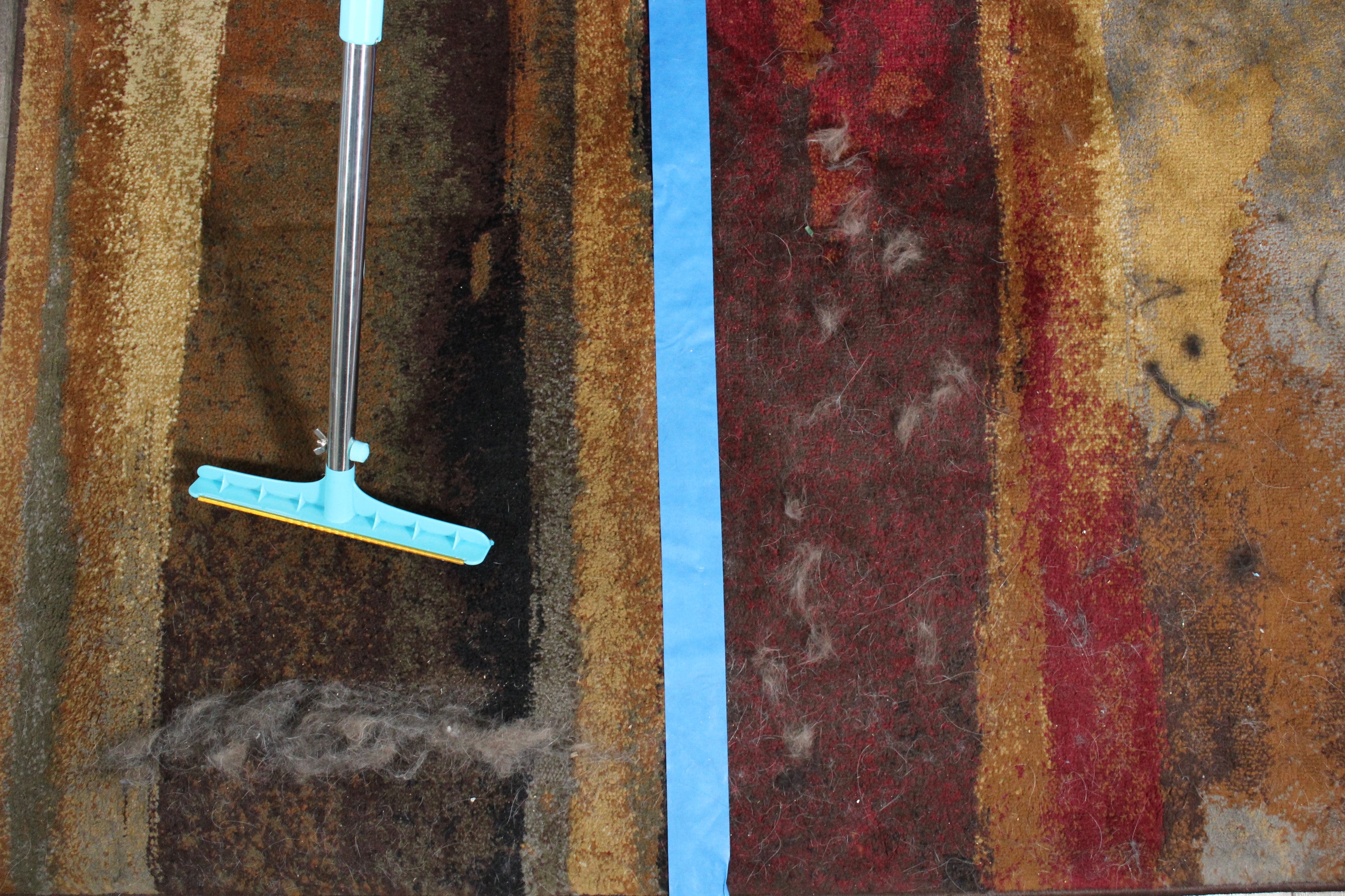 Side-by-side carpet test divided by blue painter's tape, with the left side cleared by the carpet rake and the right side still covered in pet hair